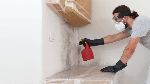 Professional Commercial Mold Remediation technician working in Waverly, NY